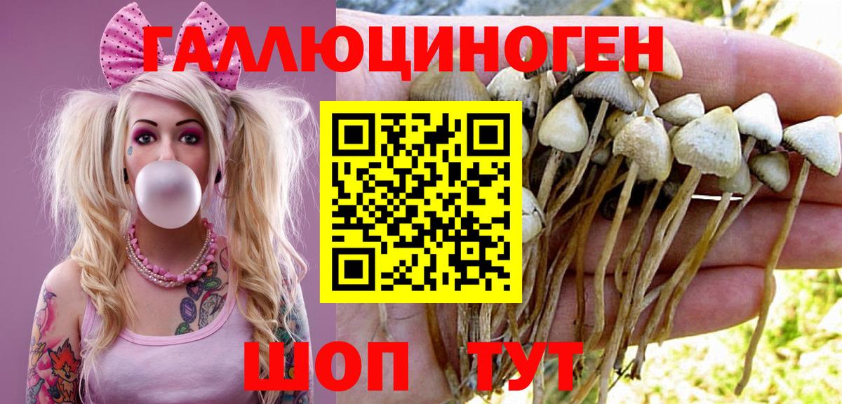 Псилоцибиновые грибы прущие грибы Петропавловск-Камчатский