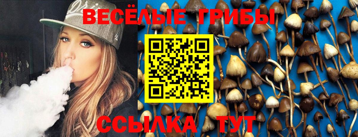 Петропавловск-Камчатский  Псилоцибиновые грибы ЛСД  Вход с VPN 